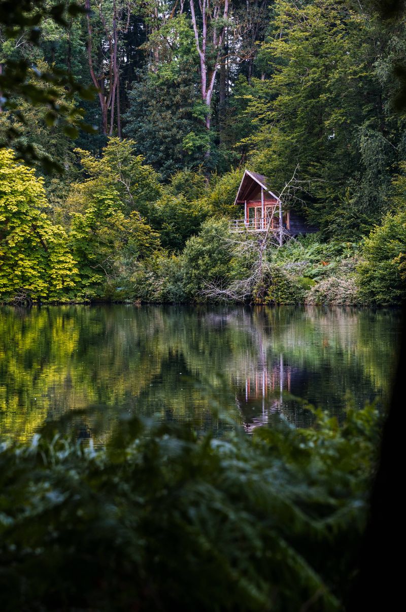 Une cabane au bord d'un étang border d'arbres